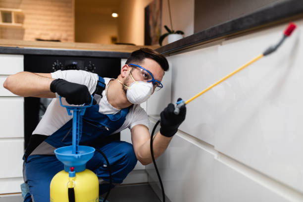 Best Mosquito Control Services  in Erwinville, LA