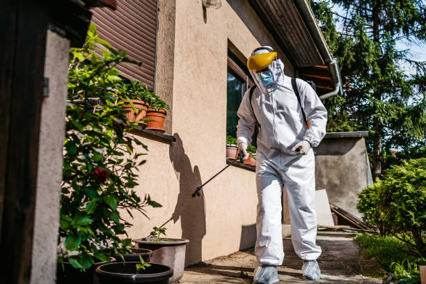 Best Affordable Pest Control Services  in Erwinville, LA