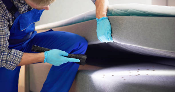 Best Exterminator Services  in Erwinville, LA