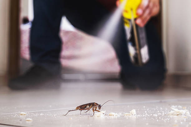 Professional Pest Control in Erwinville, LA