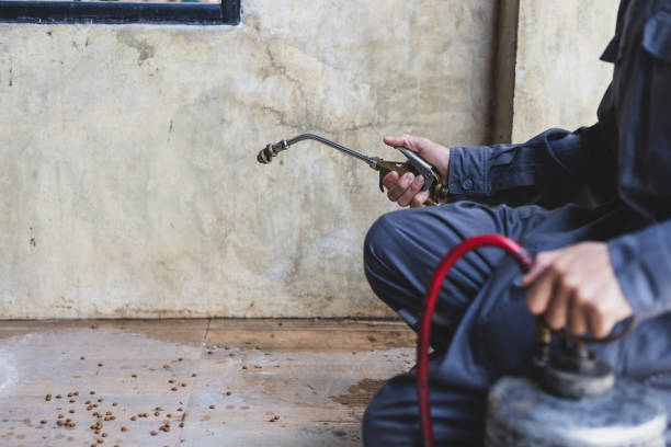 Best Pest Inspection Near Me  in Erwinville, LA